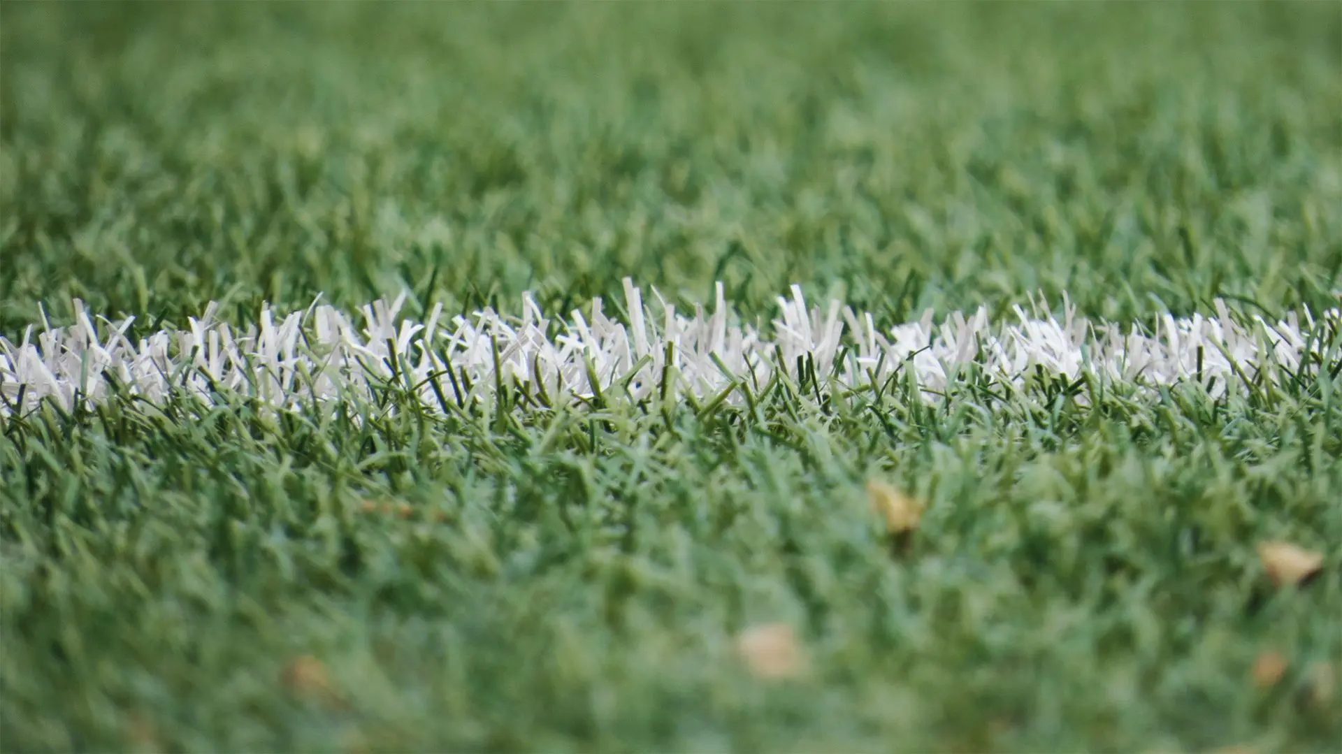 interior banner image